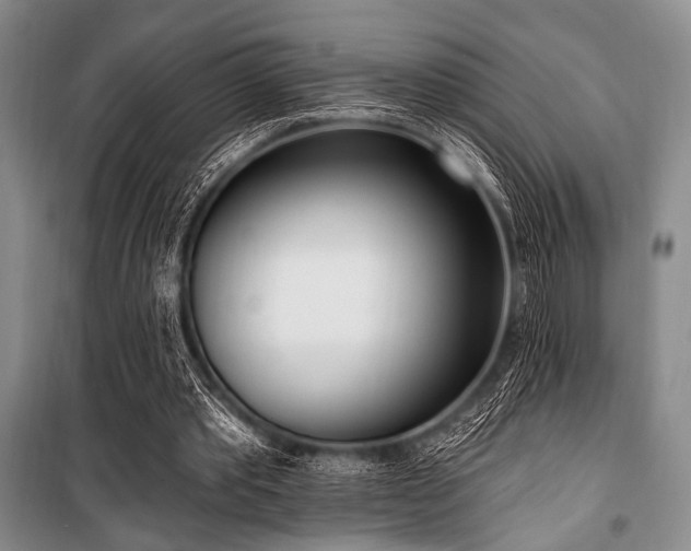 X0000100470389200806131132