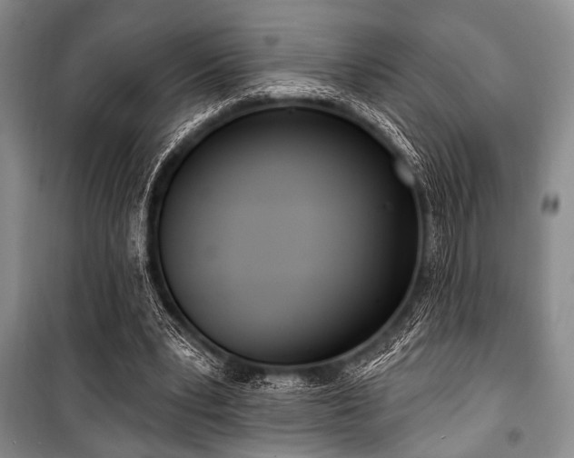 X0000100470391200806131132