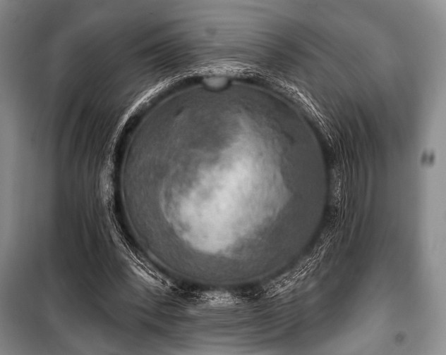 X0000100470392200806131132