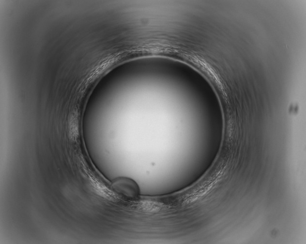 X0000100470393200806131132