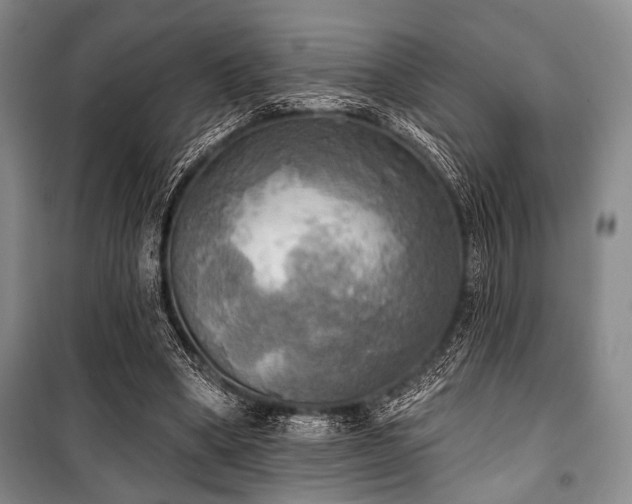 X0000100470394200806131132