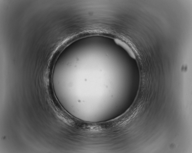 X0000100470395200806131132