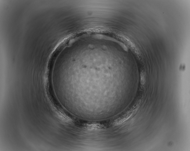 X0000100470396200806131132