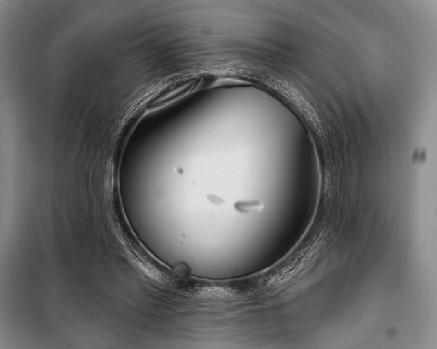 X0000100470397200806131132