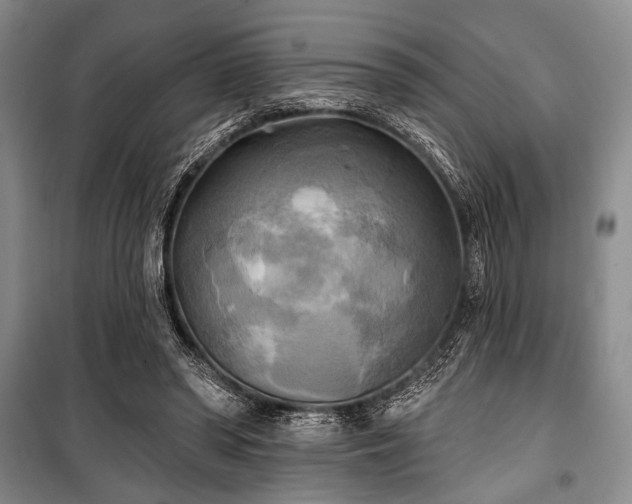 X0000100470398200806131132