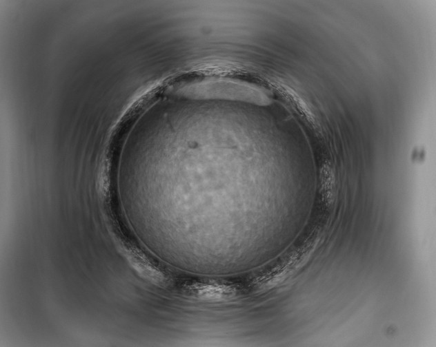 X0000100470400200806131131