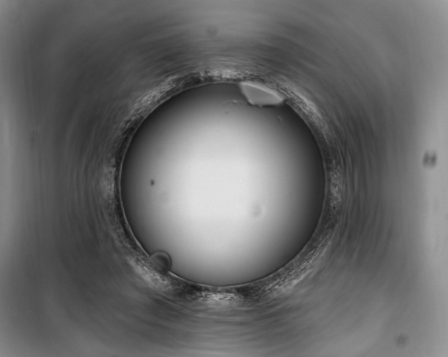 X0000100470401200806131131