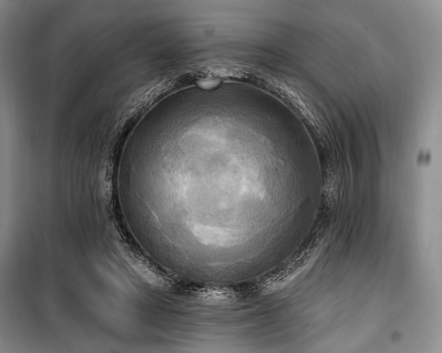 X0000100470402200806131131