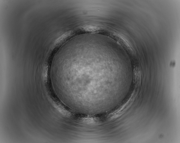 X0000100470404200806131131