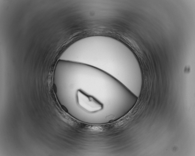 X0000100470409200806131131