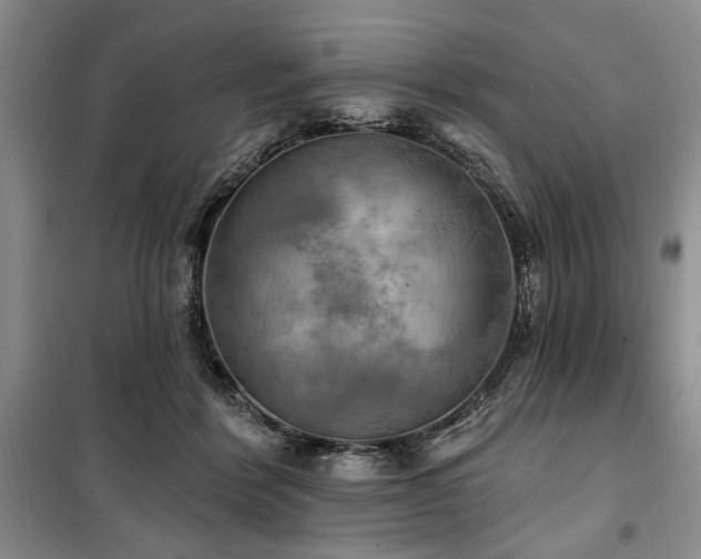 X0000100470412200806131131