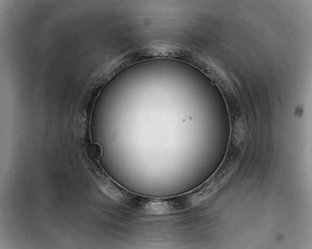 X0000100470413200806131131