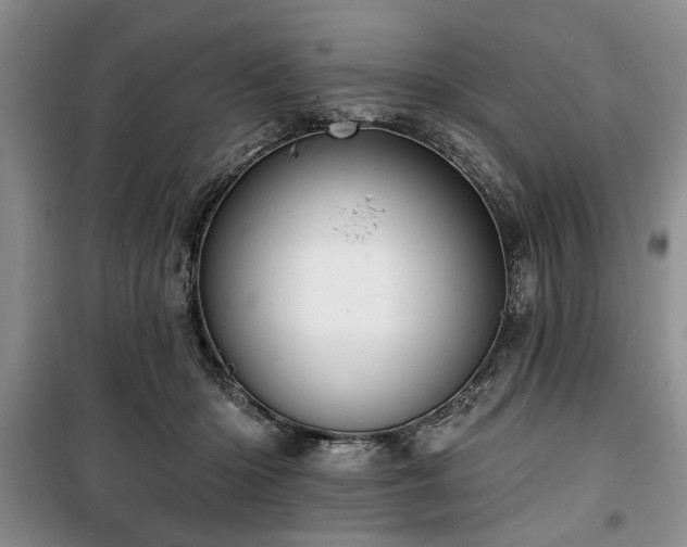 X0000100470414200806131131