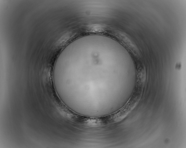 X0000100470415200806131131