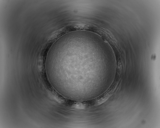 X0000100470416200806131131