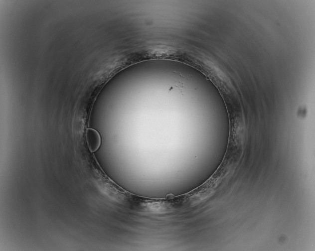 X0000100470417200806131131