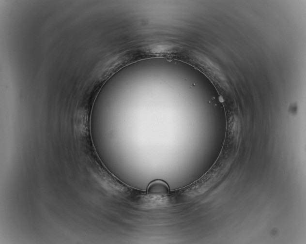 X0000100470421200806131131