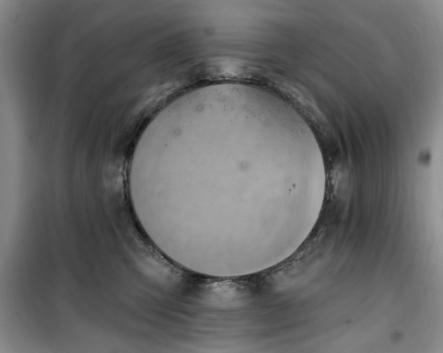 X0000100470423200806131131