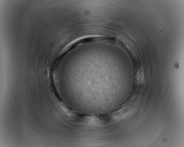 X0000100470424200806131131