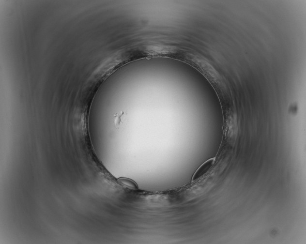 X0000100470426200806131131