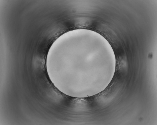 X0000100470427200806131131