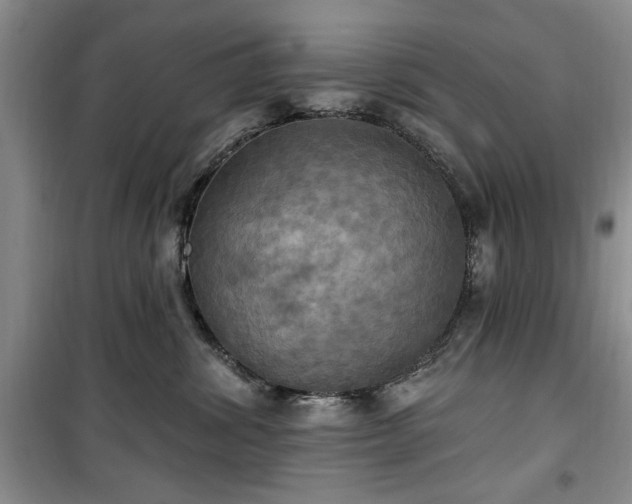 X0000100470428200806131131