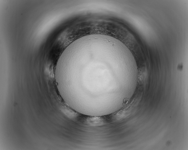 X0000100470431200806131131