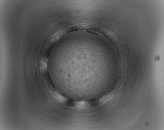 X0000100470432200806131131