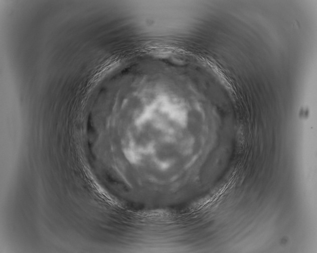 X0000100470433200806131130