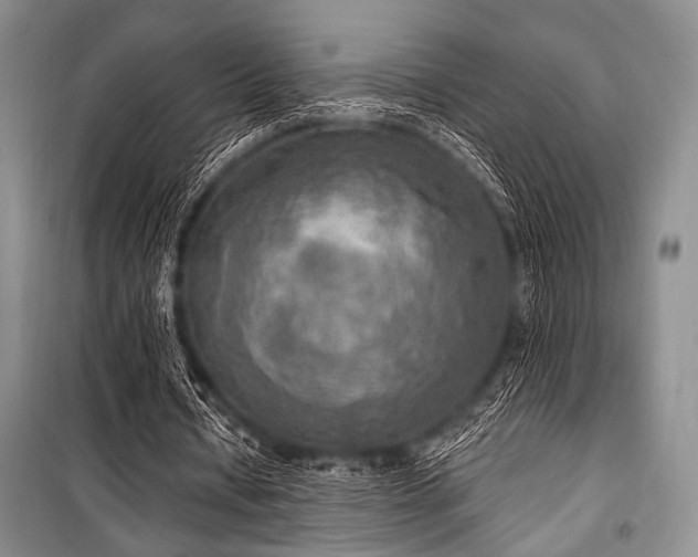 X0000100470434200806131130