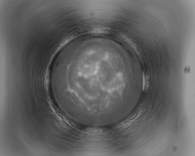 X0000100470435200806131130