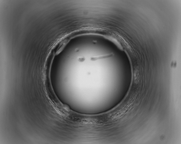 X0000100470436200806131130