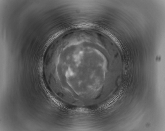 X0000100470437200806131130