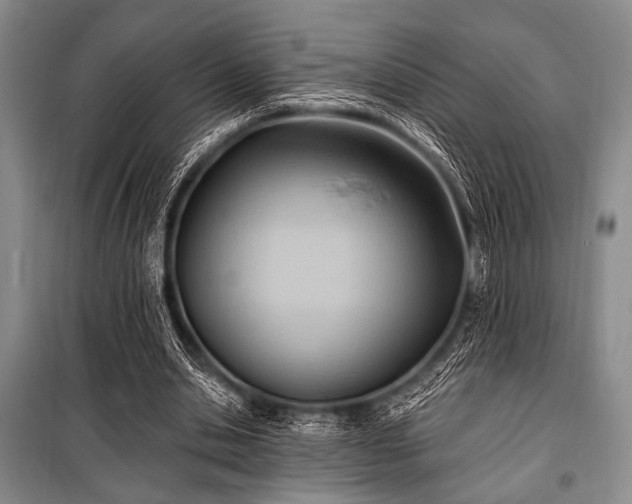 X0000100470438200806131130