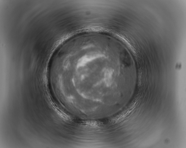 X0000100470439200806131130