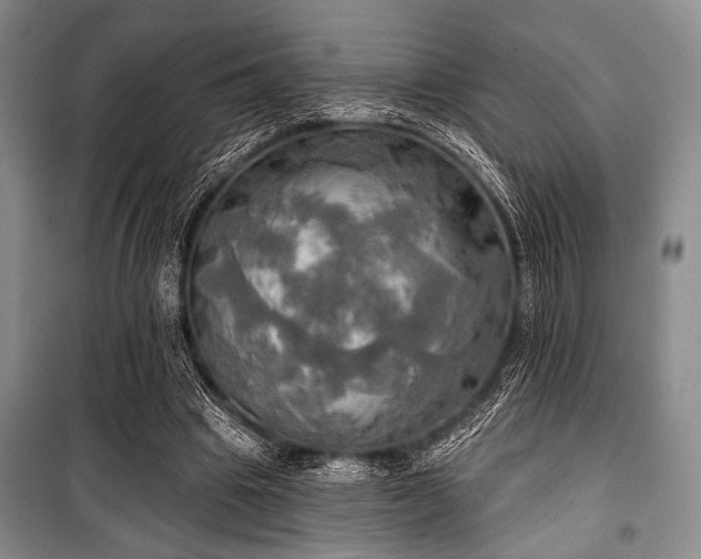 X0000100470441200806131130