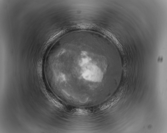 X0000100470442200806131130