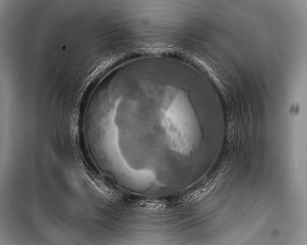 X0000100470443200806131130