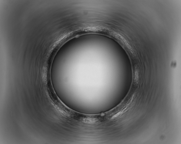 X0000100470444200806131130