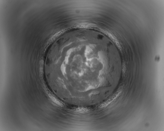 X0000100470445200806131130