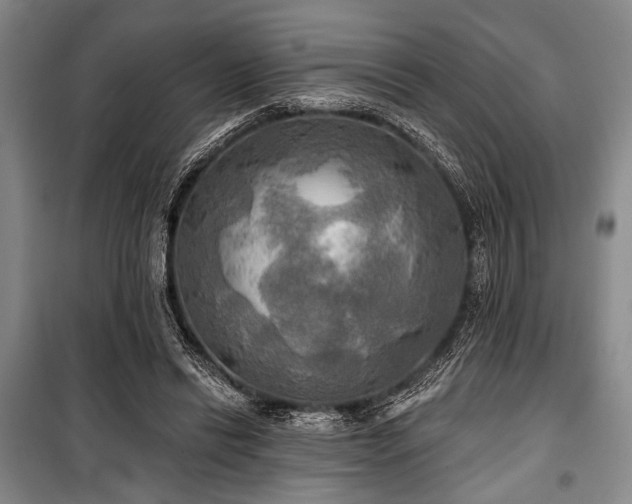 X0000100470446200806131130