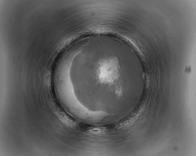 X0000100470447200806131130