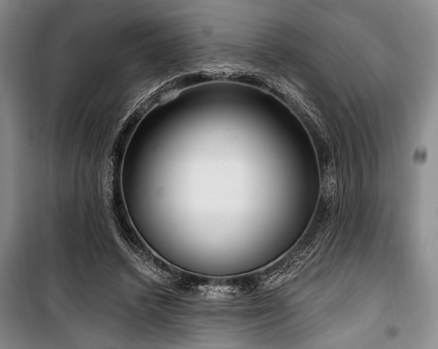 X0000100470448200806131130