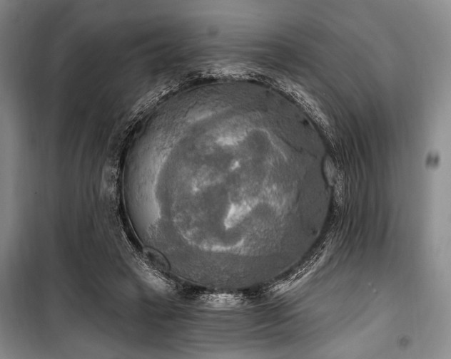 X0000100470449200806131130