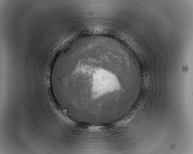 X0000100470450200806131130