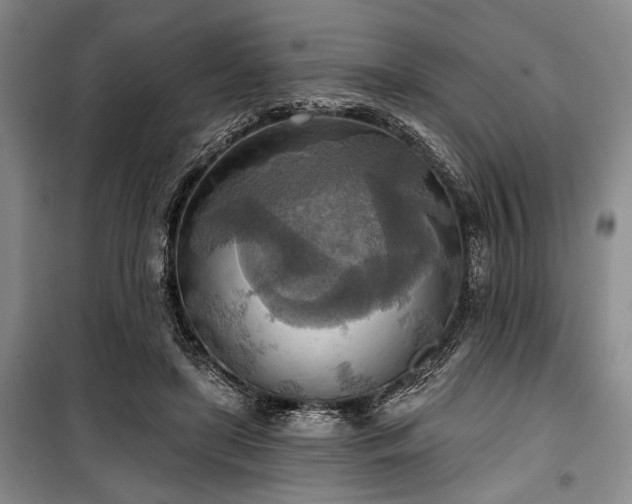 X0000100470451200806131130