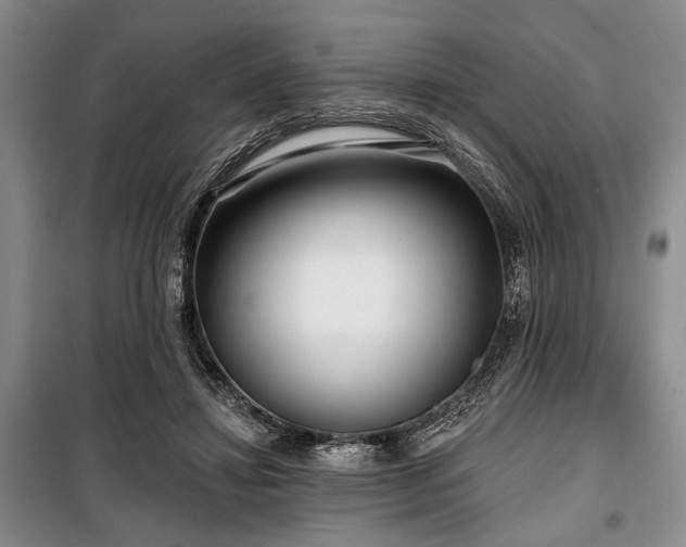 X0000100470452200806131130