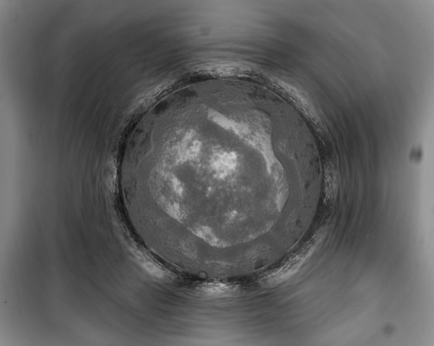 X0000100470453200806131130