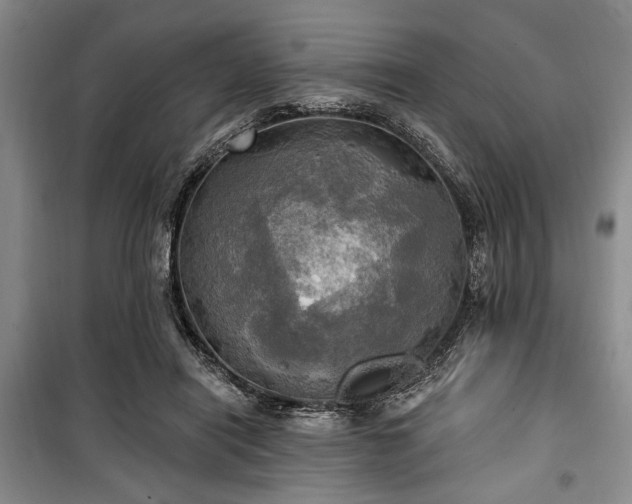 X0000100470454200806131130