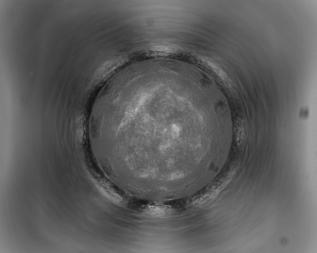 X0000100470455200806131131